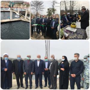 افتتاحیه پروژه پرورش ماهی سرد آبی در ایام الله دهه مبارک فجر با حضور خیریانپور معاونت  امور اقتصادی استانداری مازندران