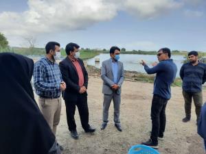 صادقی رئیس شیلات شهرستان ساری و میاندرود  از اجرای پروژه  پرورش گونه  فیتوفاگ با تزریق ریز جلبک‌ها خبر داد.