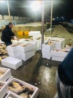  صادرات بیش از  ۱۶ تن ، ماهی  به جمهوری آذربایجان _17329