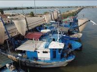 خیریانپور معاون هماهنگی امور اقتصادی  استاندار مازندران گفت:  صنعت صید ماهی مازندران باید به سمت صادرات سوق یابد_17375