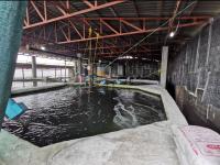 افتتاح پروژه شیلاتی ۴۰ تنی  پرورش ماهی قزل‌آلا در شهرستان بابلسر_17581