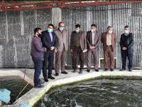 افتتاح پروژه شیلاتی ۴۰ تنی  پرورش ماهی قزل‌آلا در شهرستان بابلسر_17585