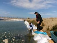 گزارش تصویری از تلاش گسترده شرکت‌های تعاونی پره استان دراجرای طرح کمک به تکثیرطبیعی ماهی سفید_17683