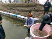 گزارش تصویری از تلاش گسترده شرکت‌های تعاونی پره استان دراجرای طرح کمک به تکثیرطبیعی ماهی سفید_17685
