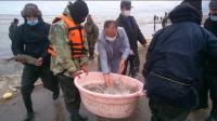 گزارش تصویری از تلاش گسترده شرکت‌های تعاونی پره استان دراجرای طرح کمک به تکثیرطبیعی ماهی سفید_17686