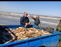 افزایش صید ماهیان استخوانی امسال در مازندران_25135