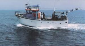 محمدزاده ، مدیرکل شیلات مازندران خبرداد :  رشد 13 درصدی صید ماهی کیلکا ازابتدای سالجاری تا تیرماه 97