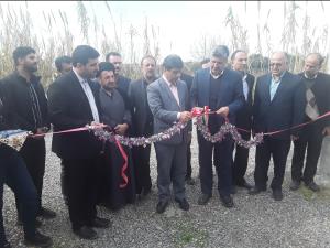 افتتاح پروژه 35 تنی پرورش ماهی قزل آلا در شهرستان بابل به مناسبت دهه مبارک فجر