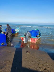 آغاز رهاسازی بچه ماهی قزل آلا در قفس‌های دریایی شهرستان جویبار