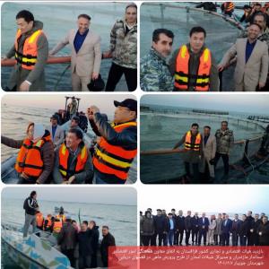 بازدید هیئت اقتصادی و تجاری کشور قزاقستان از طرح پرورش ماهی در قفسهای دریایی در شهرستان جویبار