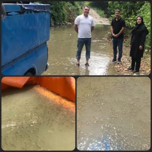 سومین مرحله رها سازی  بچه ماهی سفید در رودخانه وازیوار شهرستان نوشهر