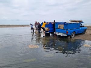 چهارمین مرحله رهاسازی بچه ماهیان سفید حاصل از تکثیر نیمه مصنوعی در رودخانه اسب چین شهرستان عباس آباد