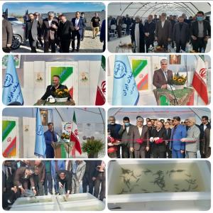 باحضور مدیرکل شیلات مازندران صورت پذیرفت : افتتاح پروژه تکثیر و پرورش ۴۰۰ هزار قطعه ای زالوی طبی در شهرستان قائمشهر
