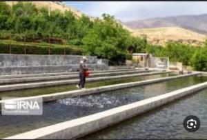گزارش ویژه خبری از پرورش ماهیان سردآبی در استان مازندران