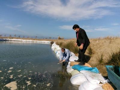 گزارش تصویری از تلاش گسترده شرکت‌های تعاونی پره استان دراجرای طرح کمک به تکثیرطبیعی ماهی سفید