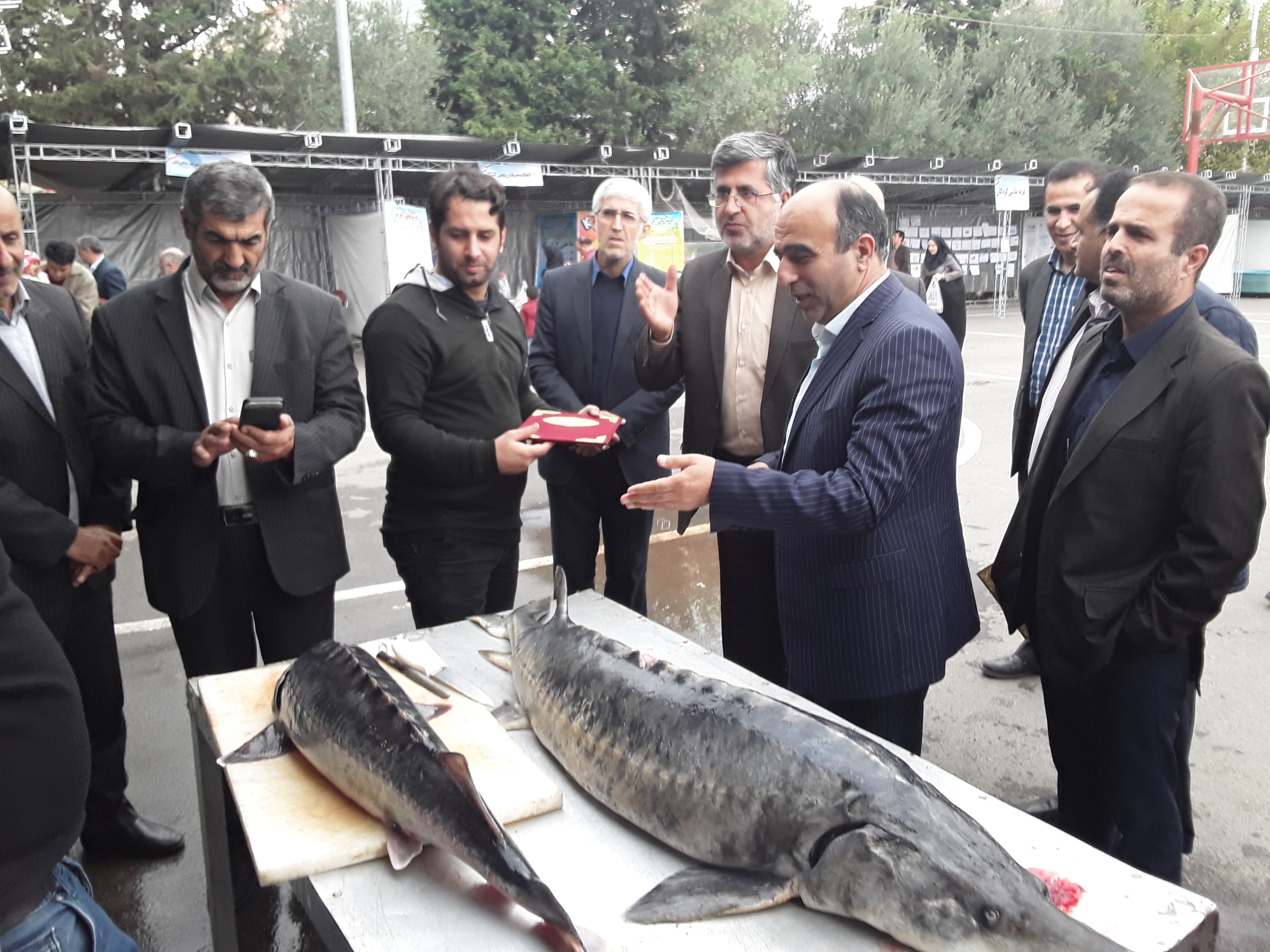 حسن اصغریان رستمی، مدیر کل دفتر امور روستایی و شوراهای استانداری دربازدید ازجشنواره طبخ وعرضه آبزیان شهرستان بابل گفت:   ازمجموع 165/5 میلیارد تومان تسهیلات روستایی پرداختی سال گذشته 10 میلیاردآن مربوط به طرحهای شیلاتی بوده است