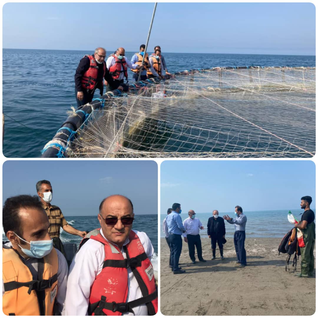 بازدید فرماندار شهرستان چالوس از مزرعه  پرورش ماهی در قفس شهرستان