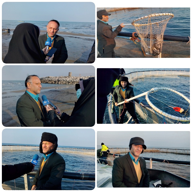 ماهیدار شدن همزمان دو قفس دریایی در شهرستان نوشهر