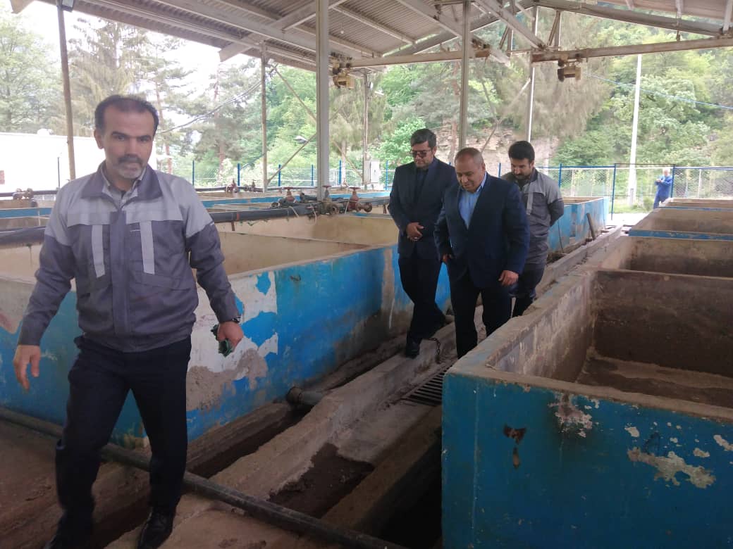 بازدید معاون برنامه ریزی و منابع شیلات مازندران از مرکز بازسازی و حفاظت از ذخایر ژنتیکی آزاد ماهیان شهید باهنر کلاردشت