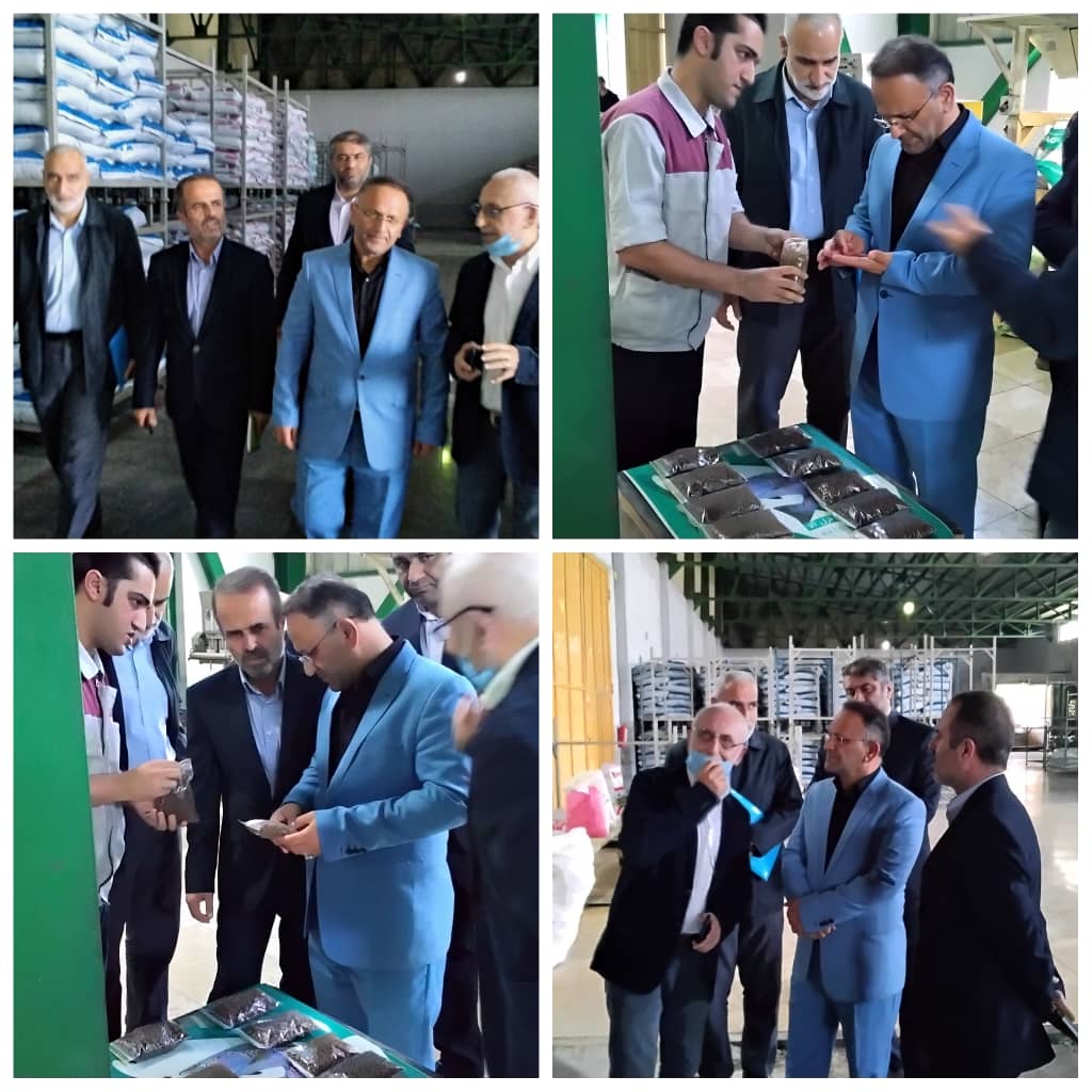 مدیرکل شیلات مازندران در بازدید از کارخانه خوراک آبزیان مازندران درساری اعلام کرد: حدود۵۰ درصد صادرات محصولات شیلاتی به خارج ازکشورراخوراک آبزیان تشکیل می‌دهد