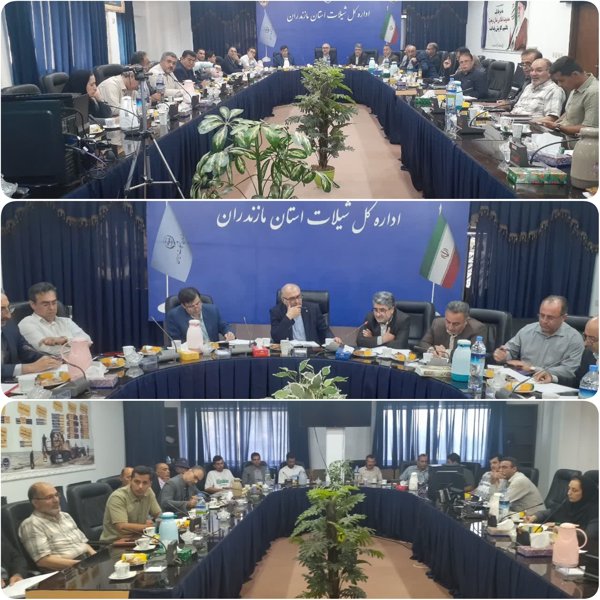 جلسه هم‌اندیشی پرورش ماهی در قفس‌های دریایی در مازندران برگزار شد