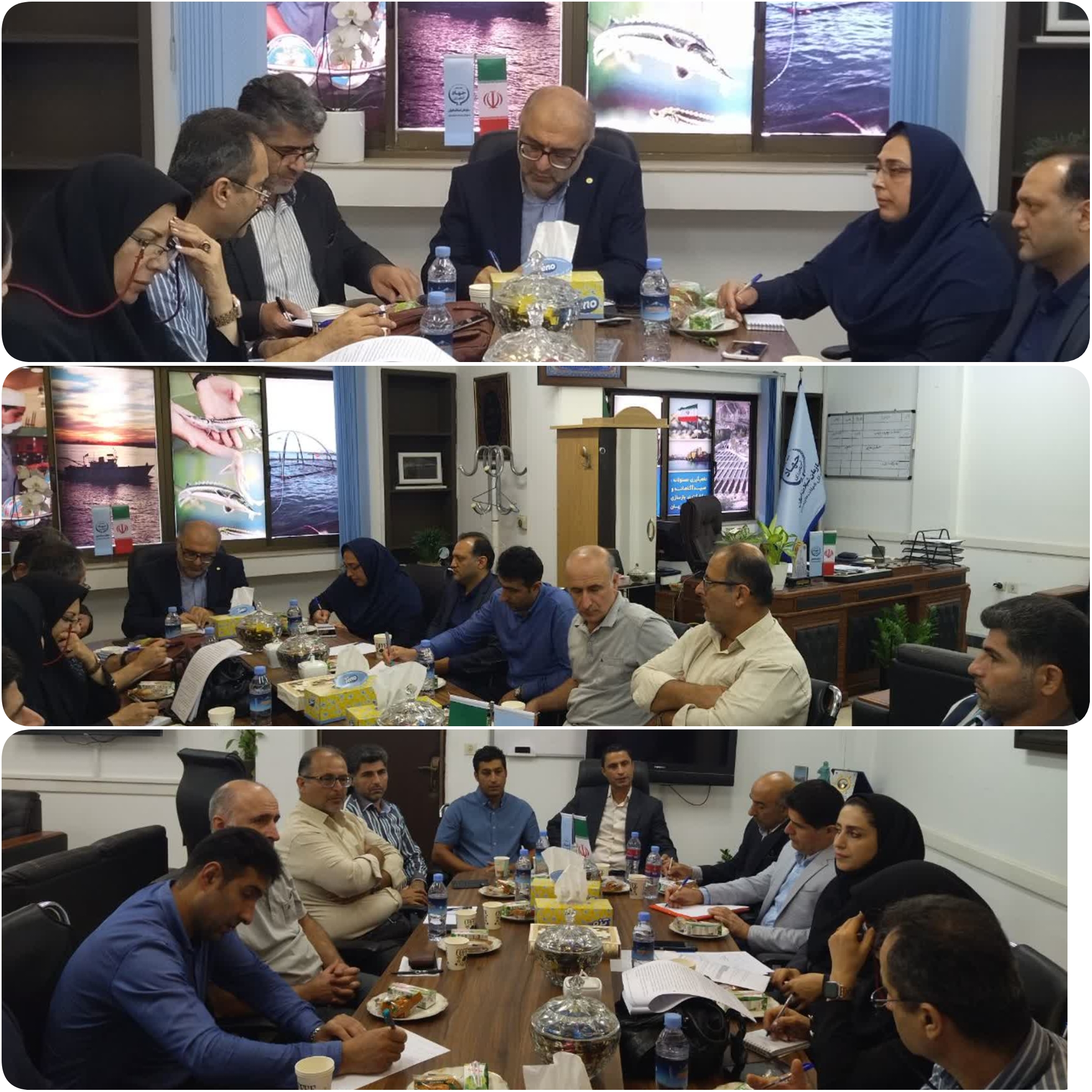 برگزاری جلسه هماهنگی اجرای طرح پژوهشی پرورش ماهی آزاد دریای خزر در قفس‌های شناور