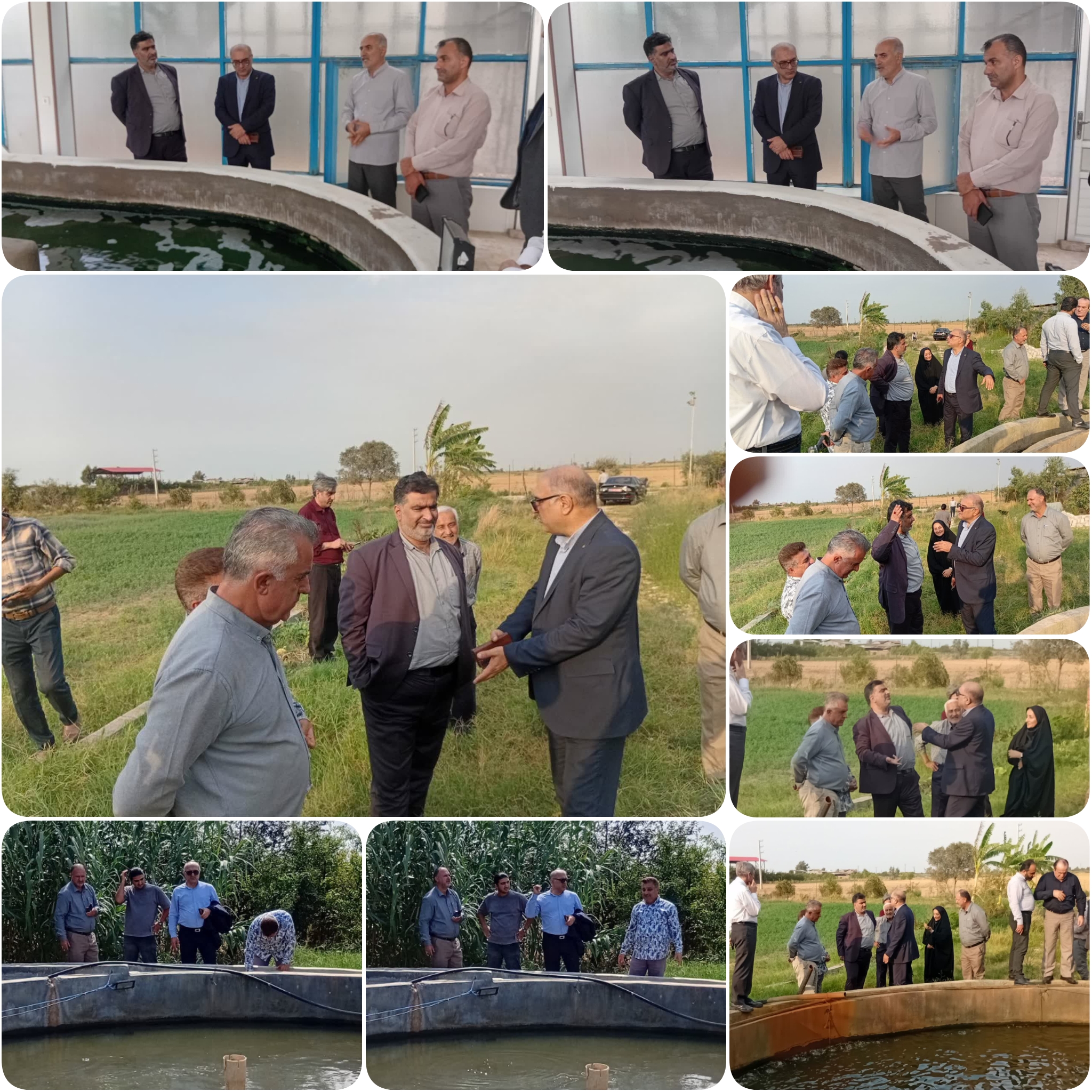 بازدید سرپرست شیلات مازندران از مزرعه الگویی و پایلوت پرورش کپور مداربسته