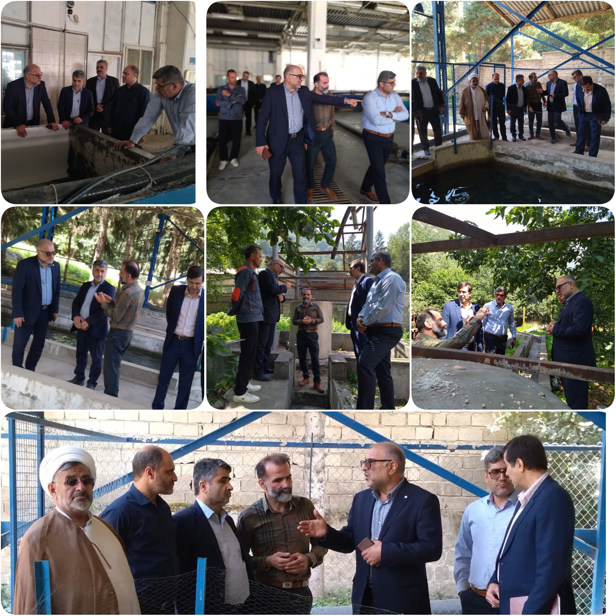 گام جدید شیلات مازندران در ارتقای زیرساخت‌های بازسازی ذخایر آبزیان.