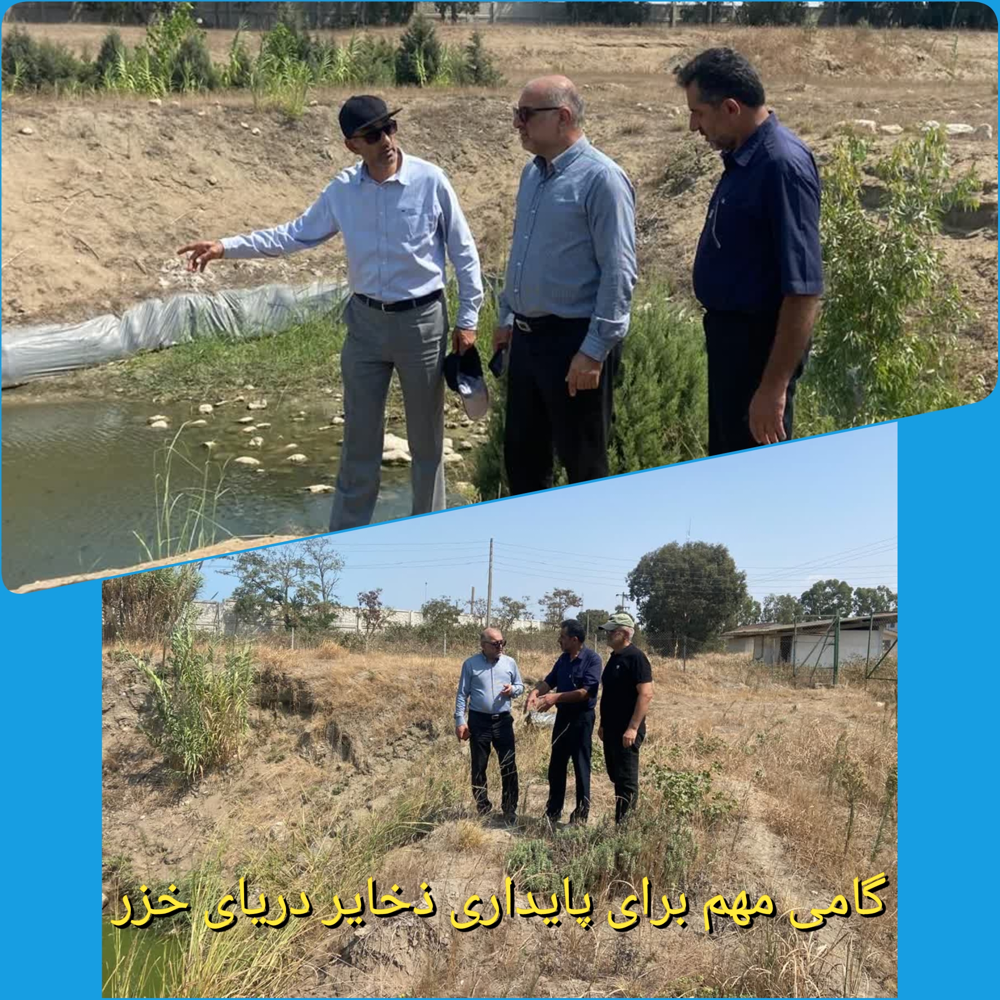 گامی مهم برای پایداری ذخایر دریای خزر؛ حمایت شیلات مازندران از تکثیر طبیعی بچه‌ماهی سفید