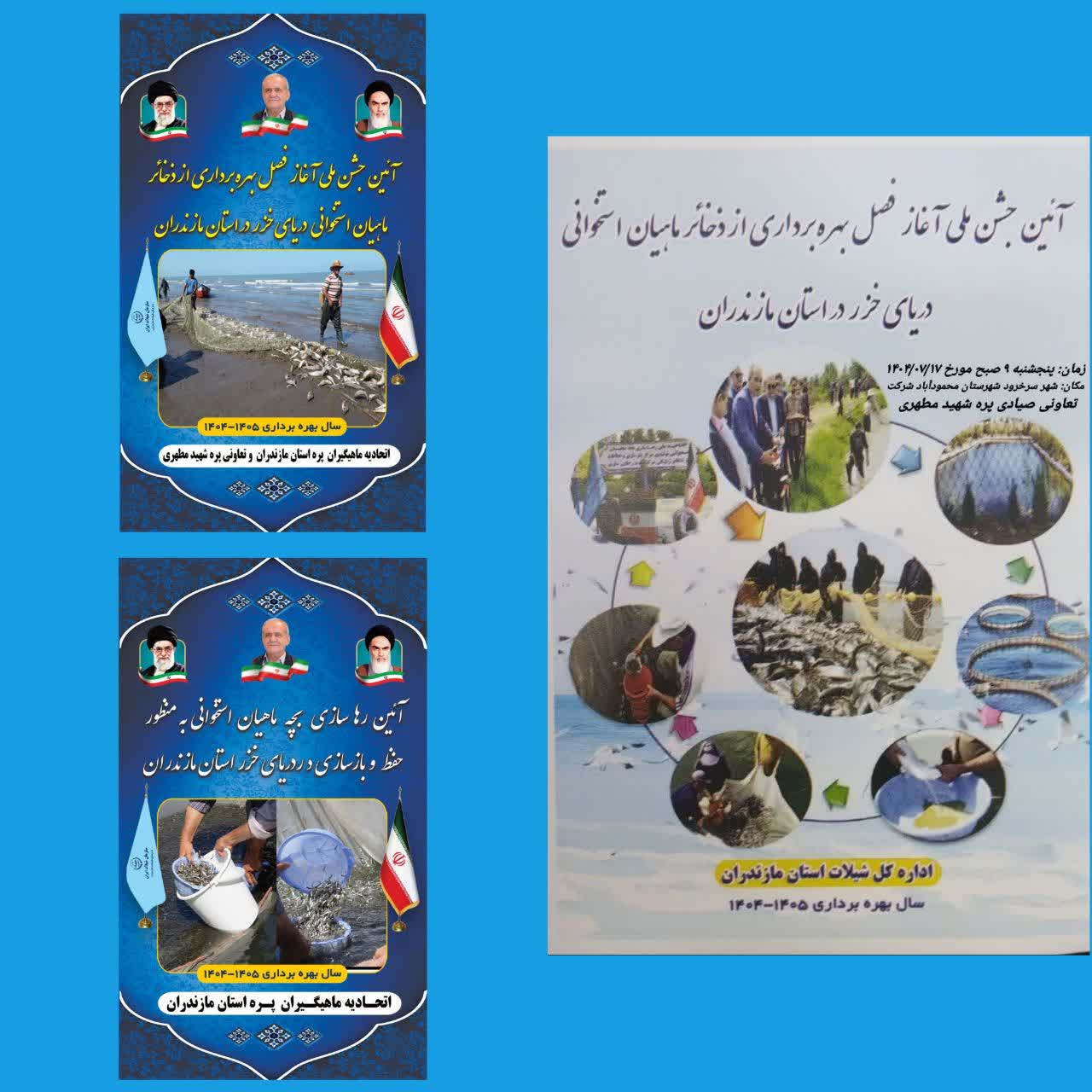 جشن ملی بهره‌برداری از ذخایر ماهیان استخوانی در مازندران برگزار می‌شود