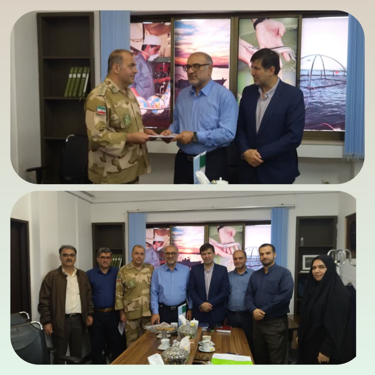 سرپرست اداره کل شیلات استان مازندران همکاری یگان حفاظت،کلید حفاظت از ذخایر استان است
