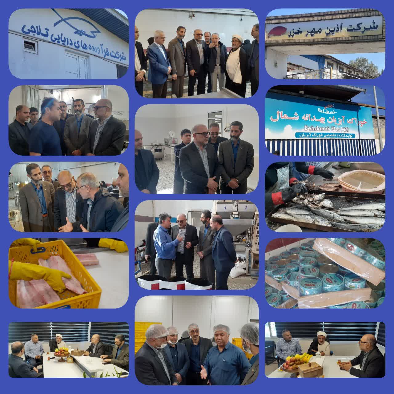 بازدید مدیرکل شیلات مازندران از واحدهای بستهبندی و فرآوری محصولات شیلاتی استان