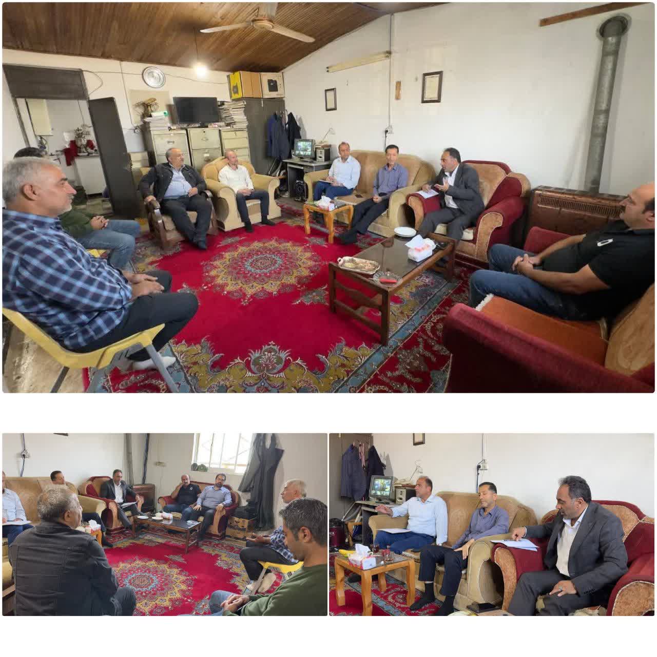 ضربان حیات در دریا؛ برنامهریزی جامع برای تکثیر طبیعی ماهی سفید در سواحل تنکابن و رامسر