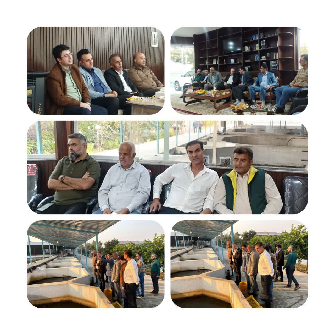 تعامل دستگاههای اجرایی برای رفع موانع توسعه آبزیپروری در شهرستان بابل