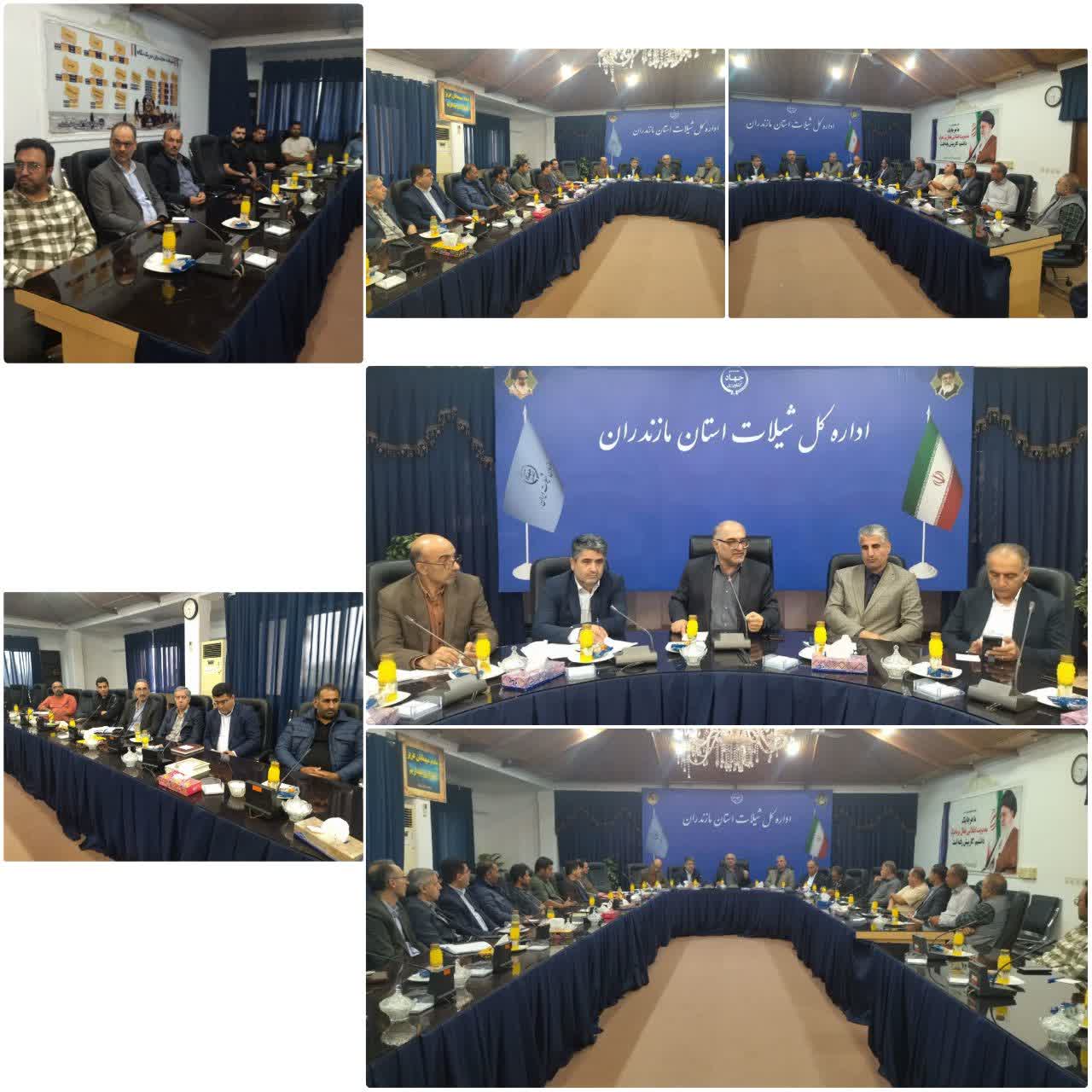 آغاز فصل جدید در اقتصاد دریا محور مازندران با ایجاد تعاونی پرورش ماهی در قفس