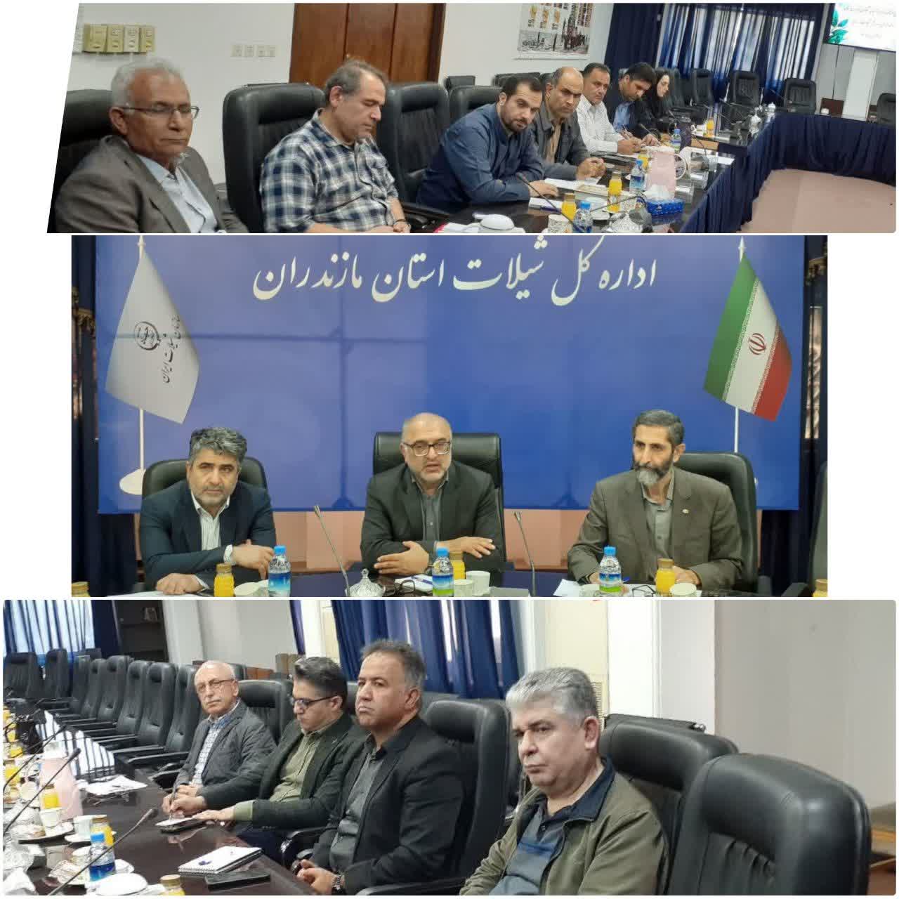 تأکید بر تقویت نظارت و هماهنگی در تولید خوراک آبزیان در نشست شیلات مازندران