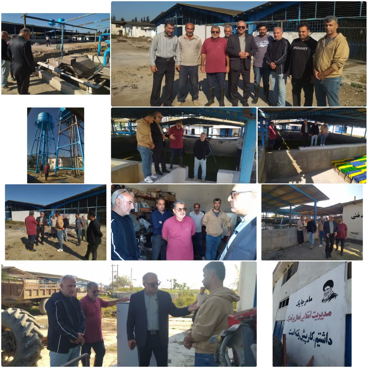 صرفه‌جویی هوشمندانه آب با راه‌اندازی تجهیزات جدید در مرکز بازسازی شهید رجایی