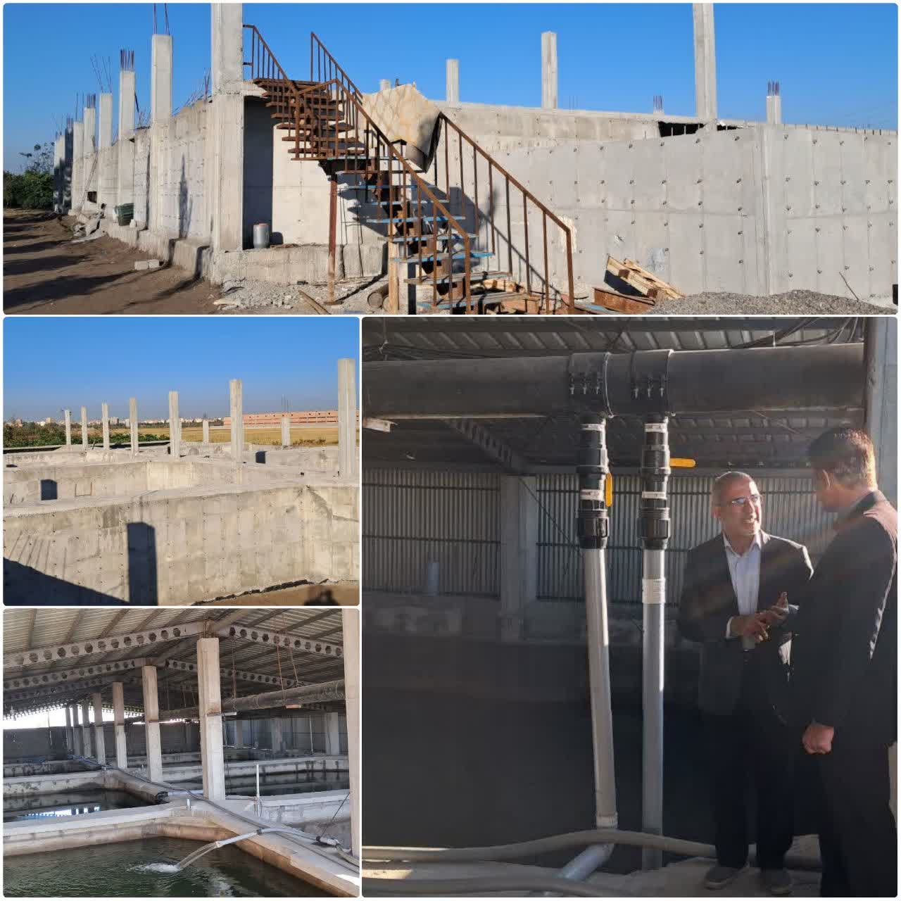 حمایت شیلات مازندران از توسعه مزارع خاویاری در بخش مرکزی بابل