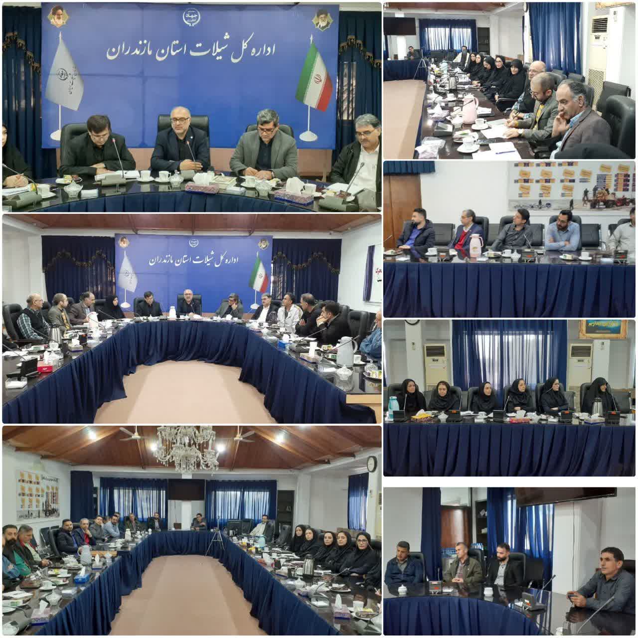 بررسی برنامه‌های تحولی شیلات مازندران در نشست مشترک با معاونت برنامه‌ریزی