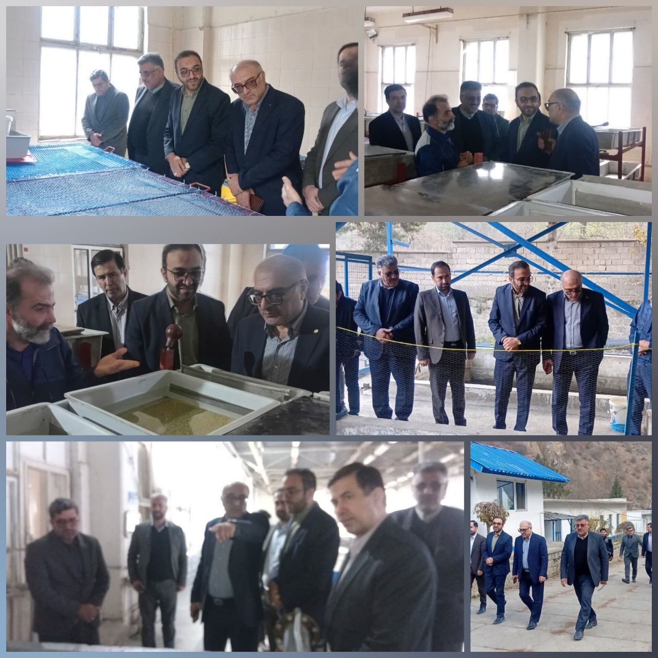 توسعه شیلات در مازندران: بازدید مدیرکل شیلات از مرکز تکثیر ماهی آزاد کلاردشت