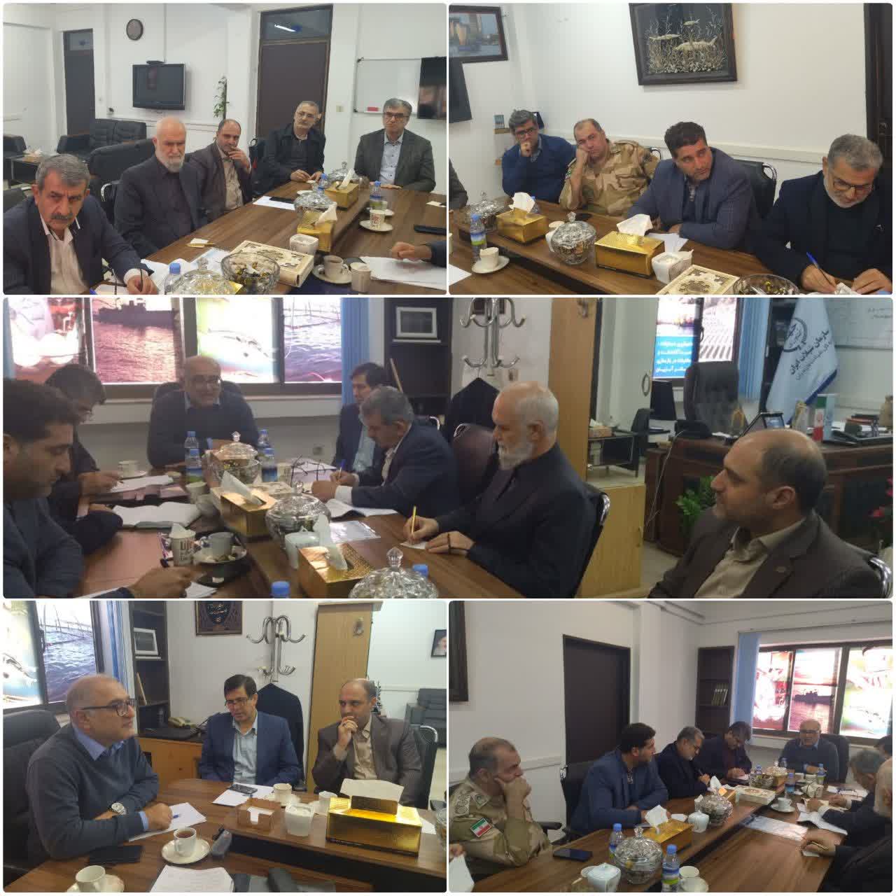 هم‌اندیشی مسئولان و بخش خصوصی برای ساماندهی صید مولدین ماهی سفید در مازندران