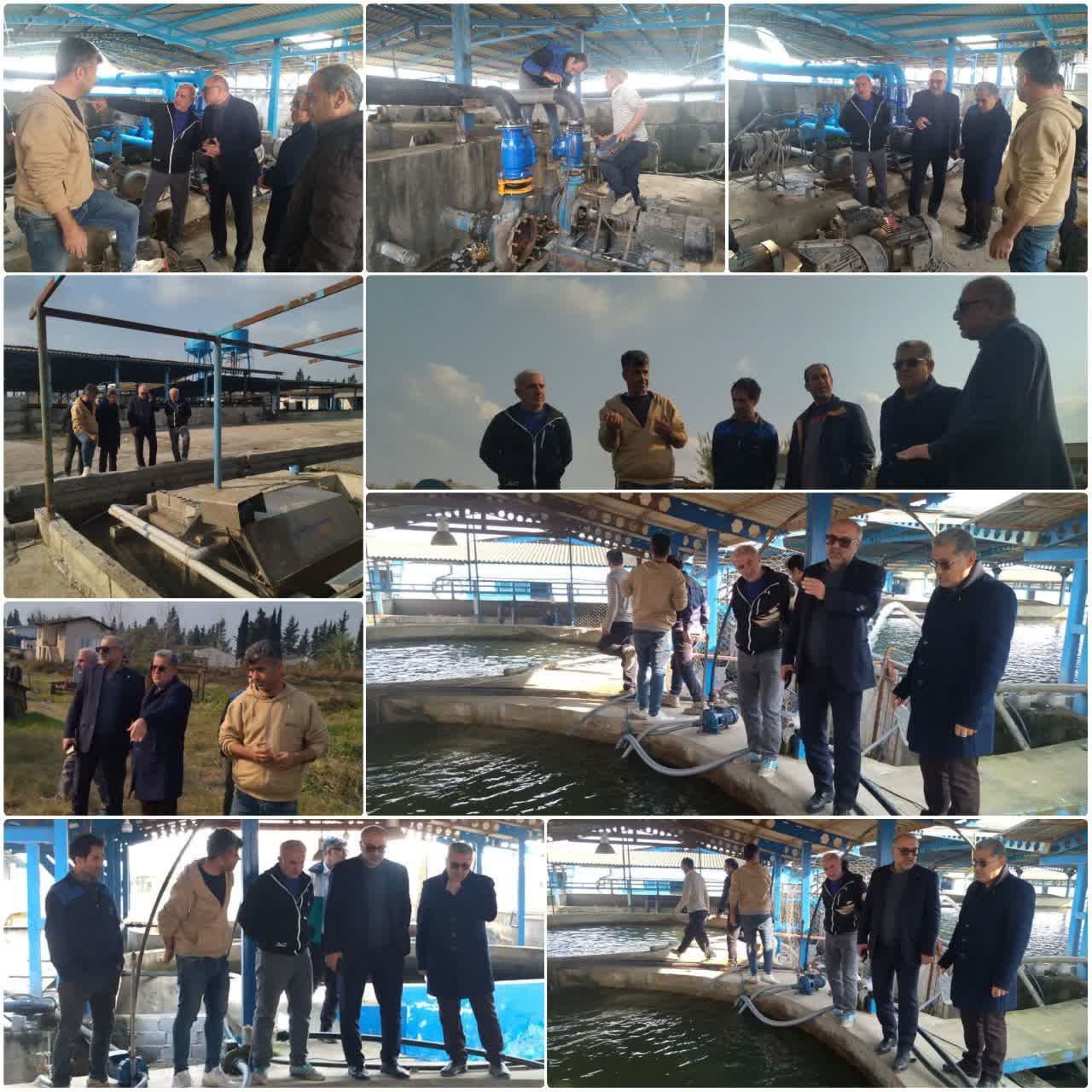 نوسازی مرکز شهید رجایی ساری در آستانه بهره برداری،بازدید مدیر کل شیلات مازندران