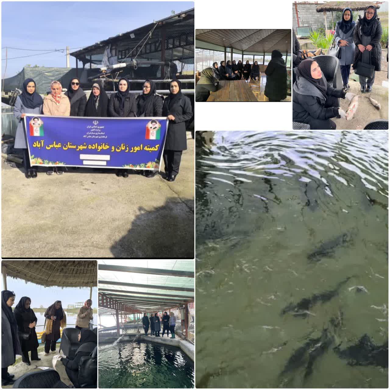 توانمندسازی بانوان در حوزه شیلات با بازدید میدانی از مزارع پرورش ماهی