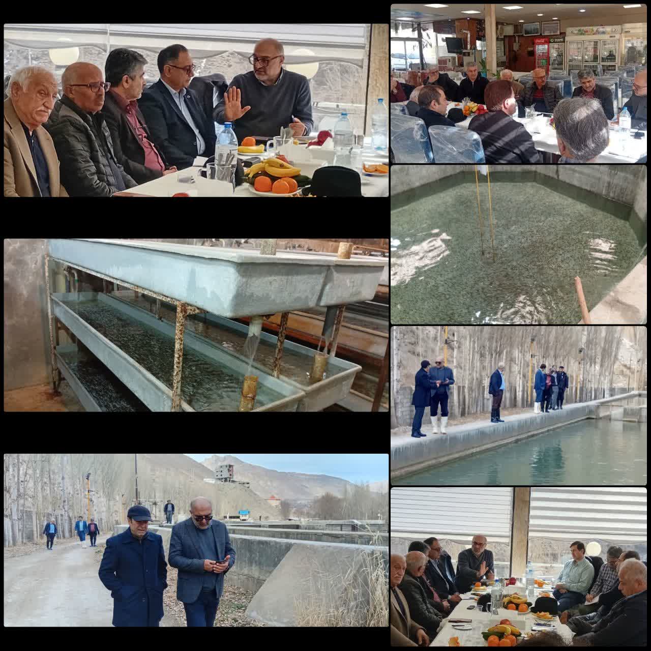 توسعه همکاری‌های شیلات و بانک تجارت برای حمایت از تولیدکنندگان ماهیان سردآبی در مازندران