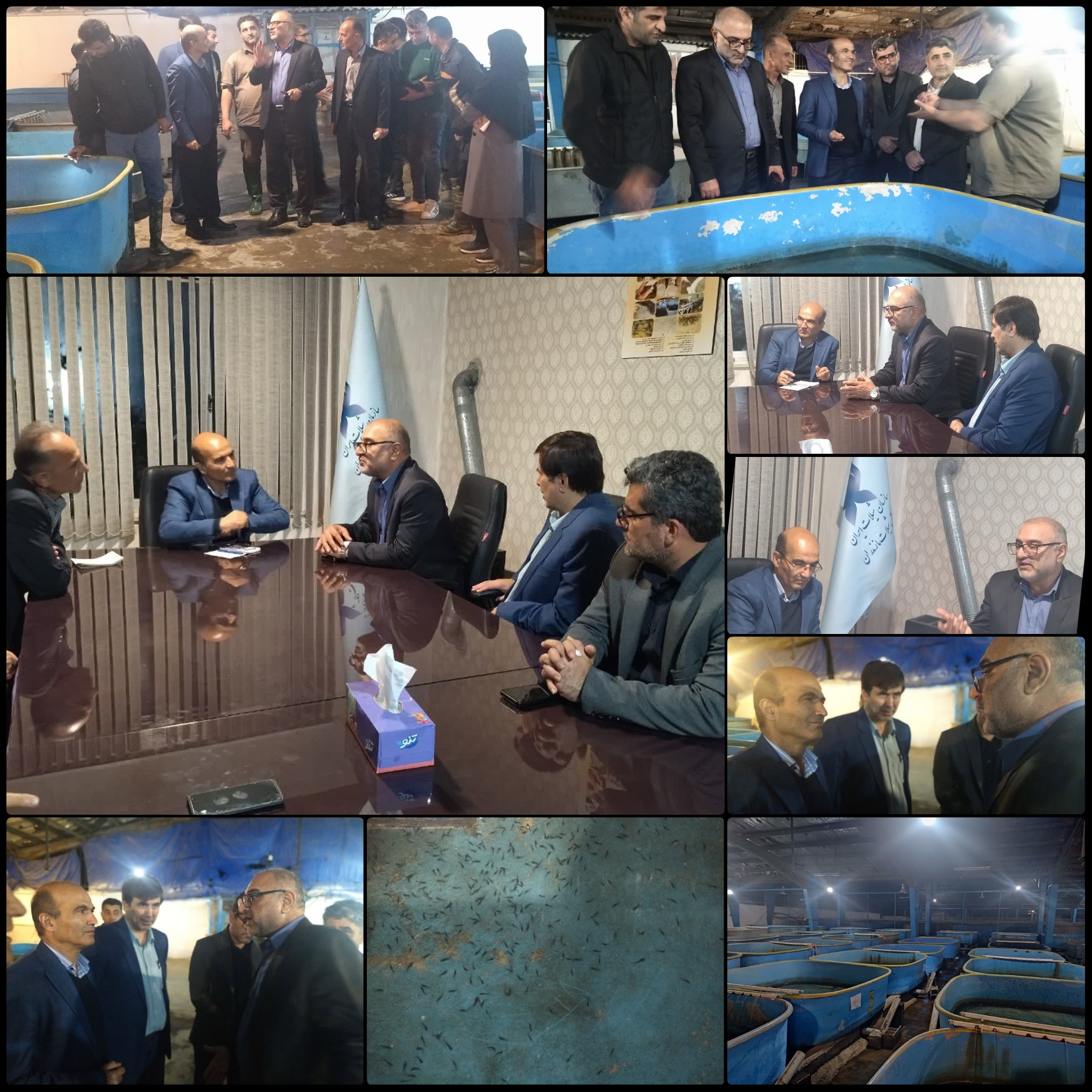 گام شیلات مازندران به سوی تقویت تولید و بازسازی ذخایر خزری