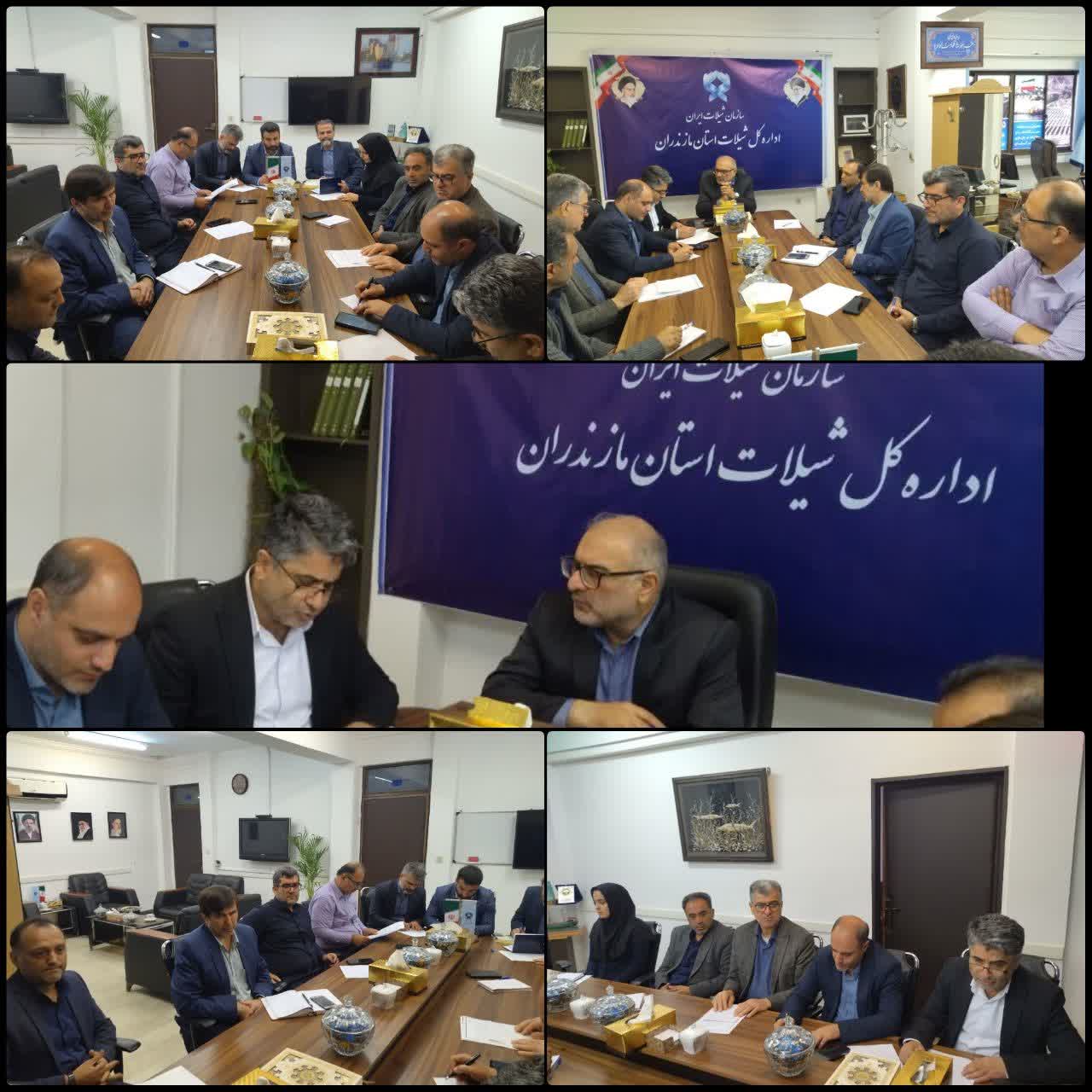 شیلات مازندران: آمادگی برای اجرای برنامه رهاسازی بچه‌ماهیان آزاد دریای خزر