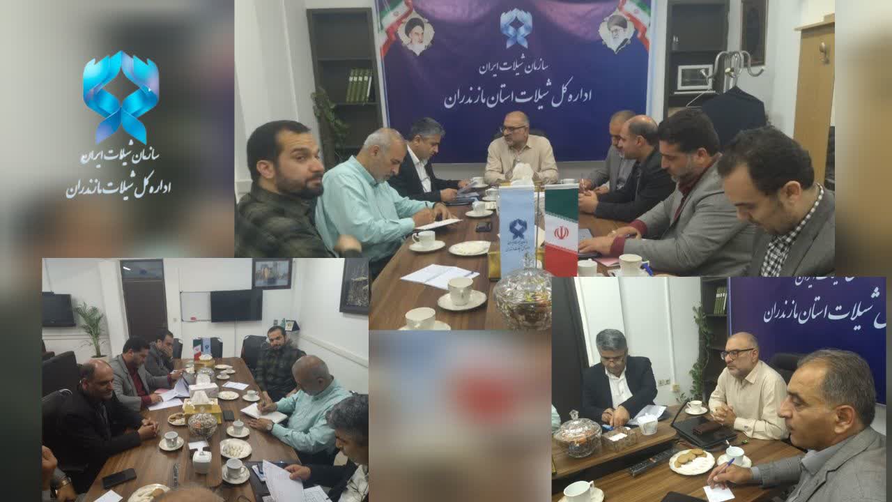 شیلات مازندران: بازسازی ذخایر ماهی سفید با رویکرد علمی و مشارکتی