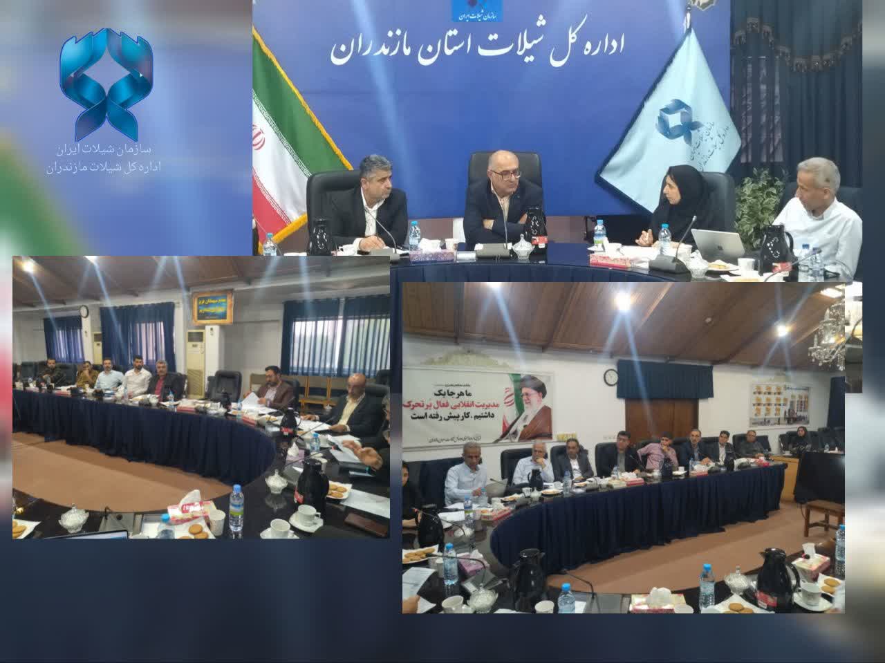 تحول در فرآیند صدور مجوزهای شیلاتی مازندران؛ تشکیل کارگروه ویژه برای رفع موانع تولید