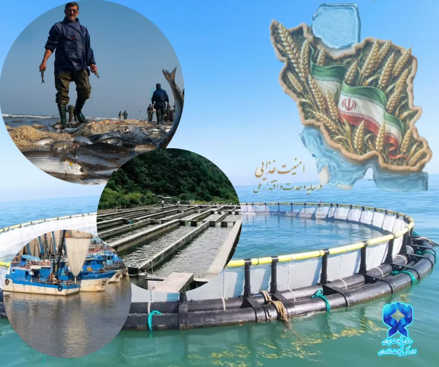 جهاد کشاورزی و شیلات ، همگام در امنیت غذایی کشور