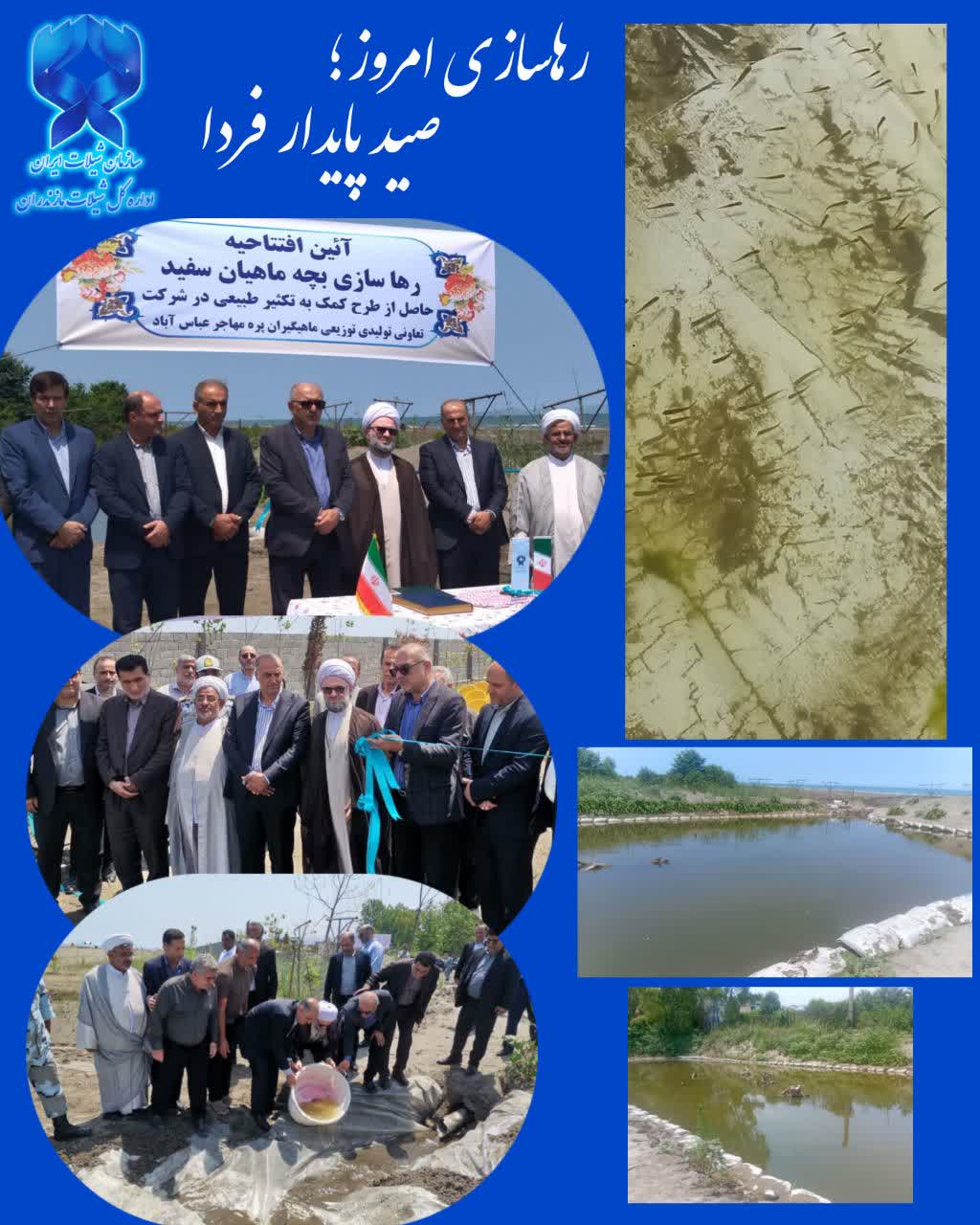 حفاظت از ثروت ملی با همت جهادی صیادان